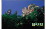 網(wǎng)絡熱門純玩游：張家界、天子山、袁家界、楊家界 自助三日游
