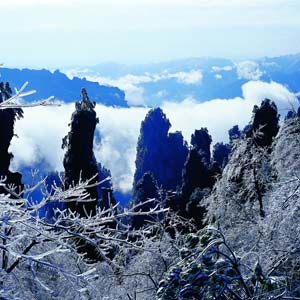 LD線：張家界、天子山、楊家界、猛洞河漂流純玩四日游