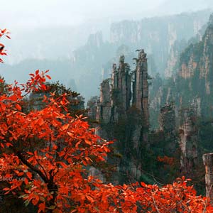 休閑自駕E線：張家界、袁家界、天子山、寶峰湖、鳳凰古城、沱江泛舟四晚五日游