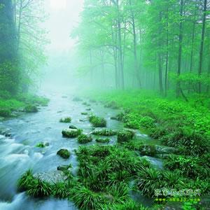 【純玩散拼尊享系列3】張家界、天子山、袁家界、黃龍洞、鳳凰三晚四日游