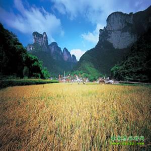 張家界往返純玩散拼：矮寨大橋、德夯苗寨、鳳凰古城、芙蓉鎮(zhèn)二日游