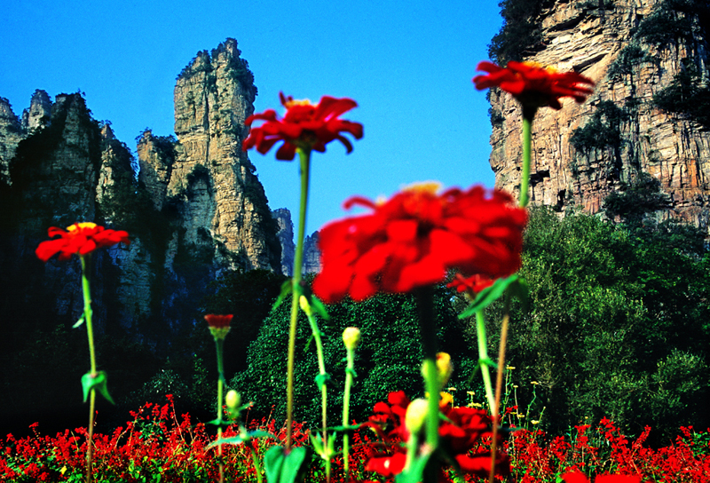 LF線：張家界國家森林公園、猛洞河漂流、鳳凰古城純玩自助五日游
